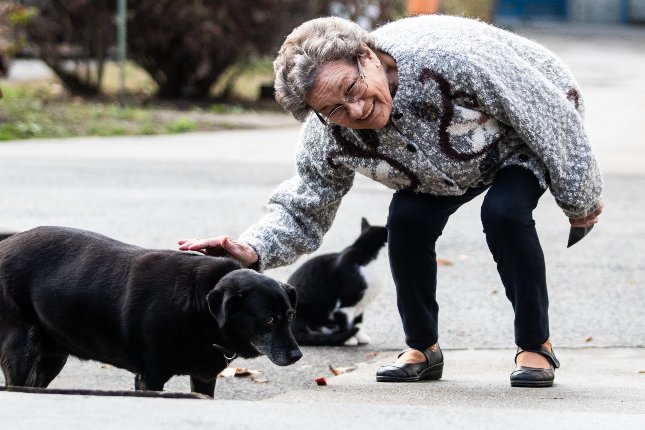 Imádni való terápiás kutyus segíti az idősotthon lakóit